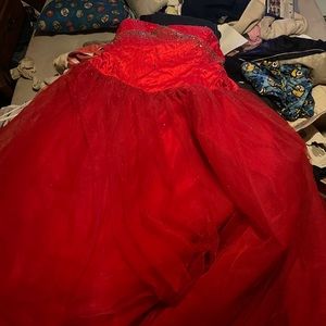Size 18 prom dress